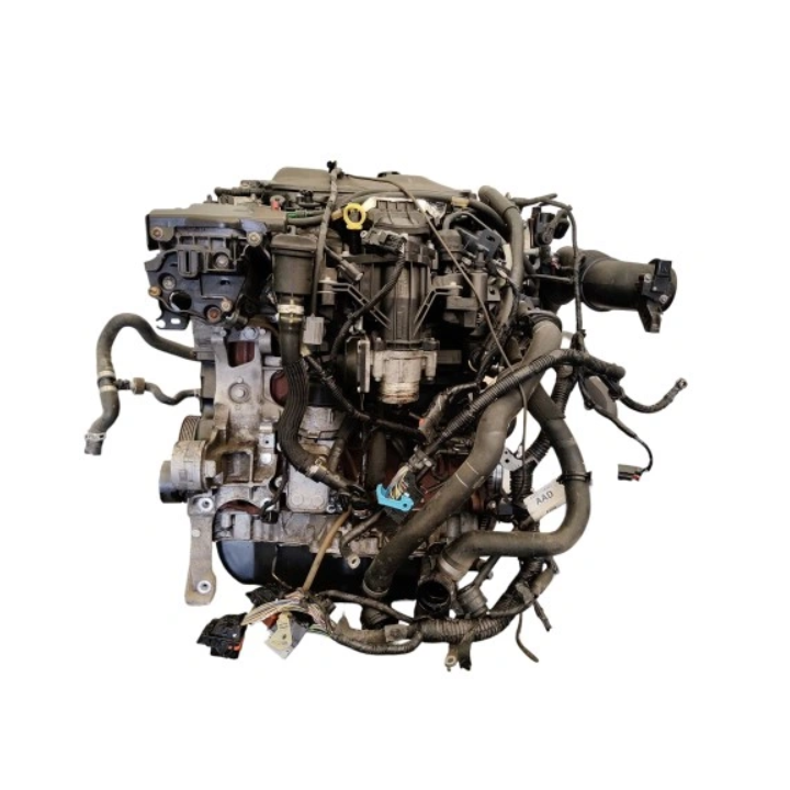 Motore Usato Ford Focus 2.0 TDCi TYDA | Ricambio Garantito