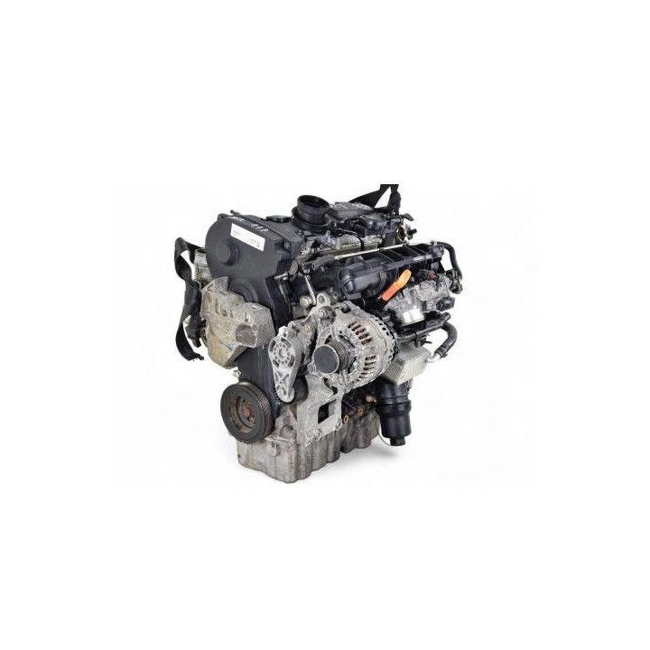 Motore Usato VW 2.0 TFSI BWA | Golf GTI, A3 | Ricambio Garantito