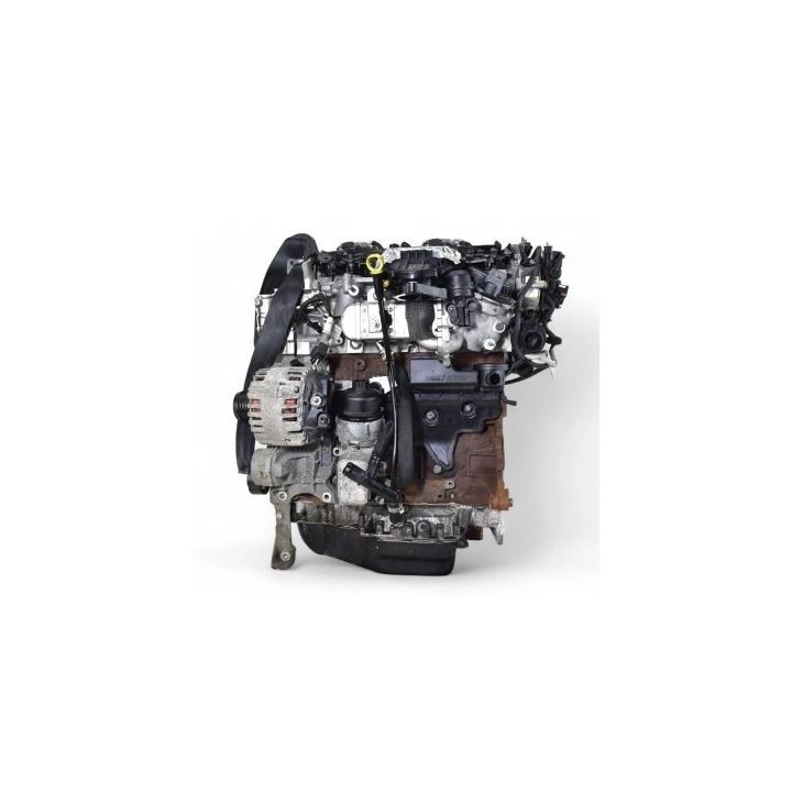 Motore TXDA 2.0 TDCi 163CV Usato | Ford