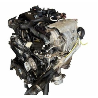 Motore 55273835 1.3 MultiJet 95CV Usato | Panda Punto