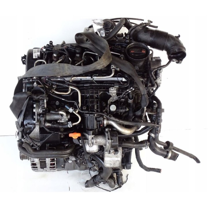 Ricambi Usati Motore CAY 1.6 TDI | VW Golf VI - Audi A3