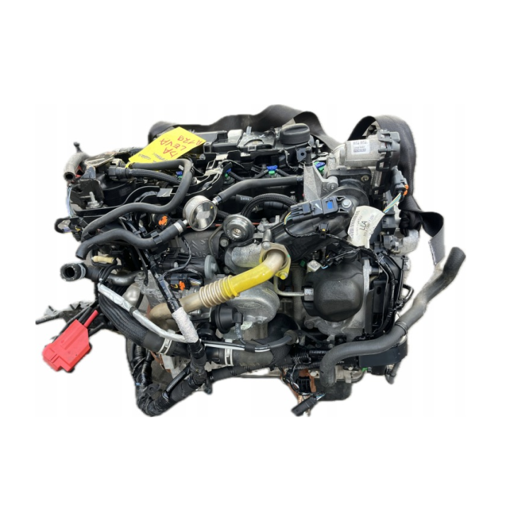 Motore XUJB 1.5 TDCi | Ford