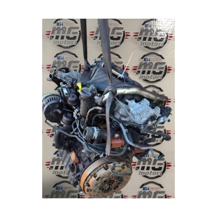 Motore QXBA 2.0 TDCi 140CV Usato | Ford