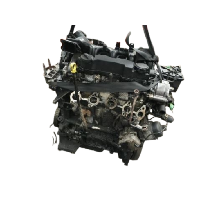 Motore HHDA 1.6 TDCi 90CV Usato | 1.6 TDCi